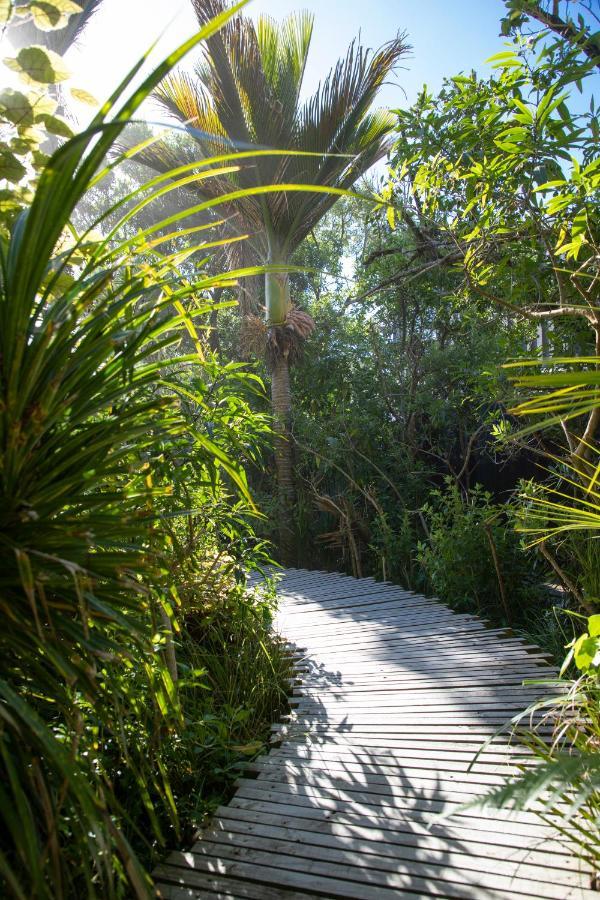 Seascapes Villa Punakaiki Luaran gambar